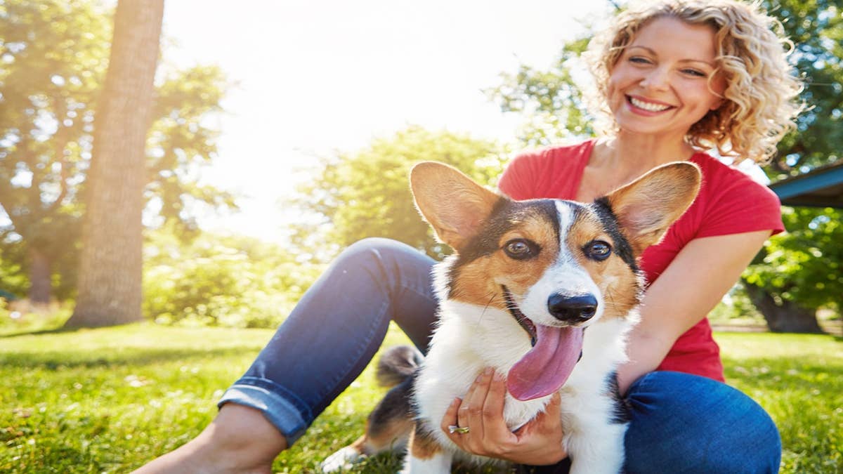 Pet Health and Wellness Trends for Better Daily Care