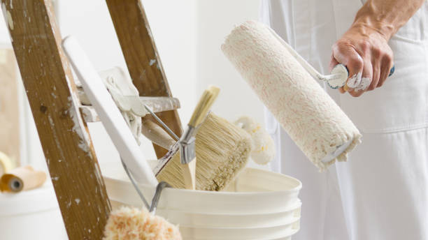 Expert Painting Solutions for Homes and Businesses