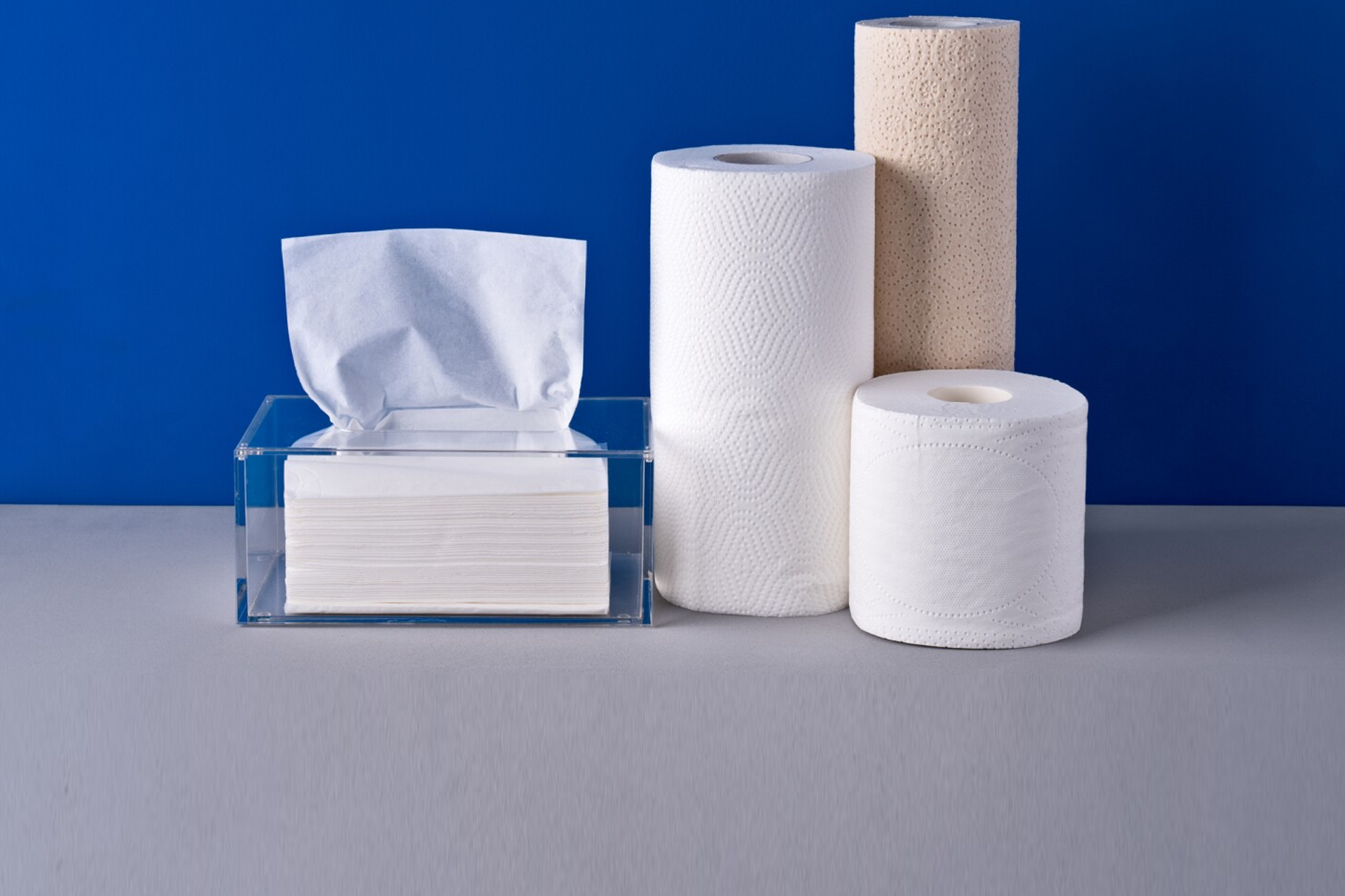 Toilet Roll Products for Modern Restaurants in Delhi