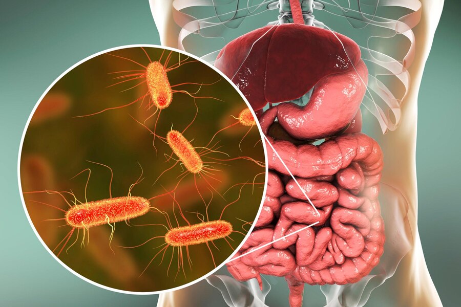 How Long Does Praziquantel take to Kick in?