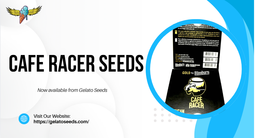 Cafe Racer Seeds: Genetics, Lineage, Growing Guide & Features