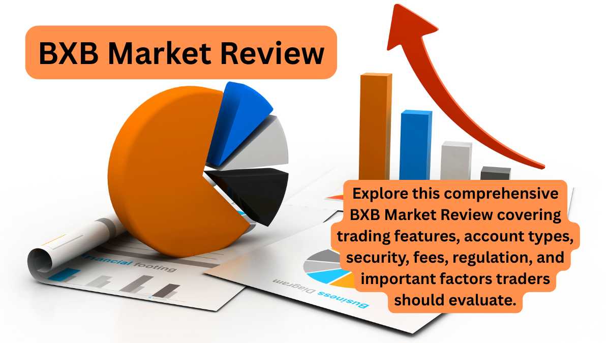 BXB Market Review: Features, Trading & Platform Analysis