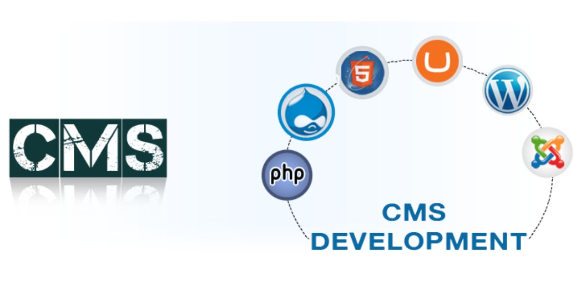 Custom CMS Development Services | ThinkDone Solutions