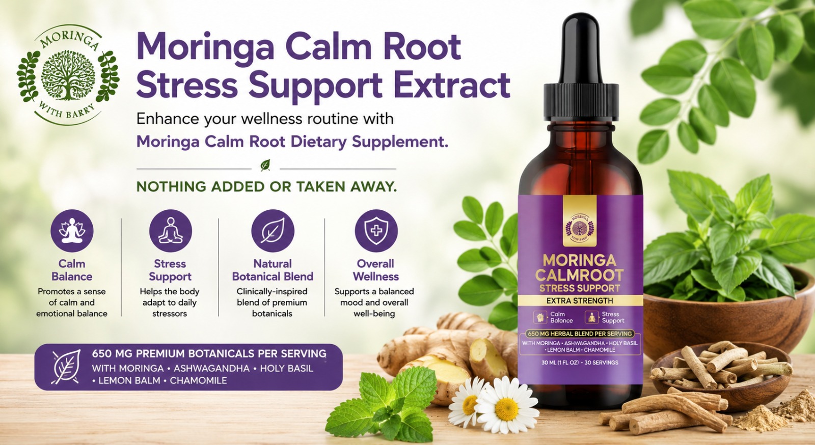 Finding Everyday Calm with Natural Moringa Stress Relief Support