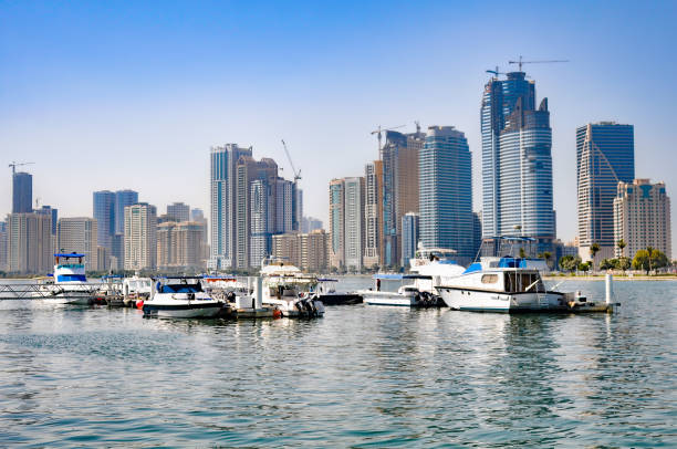 Why UAE CFOs Prefer IFRS Implementation?