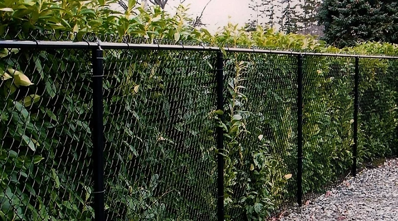 Is Chain Link Galvanized Fencing Right for Your Property?