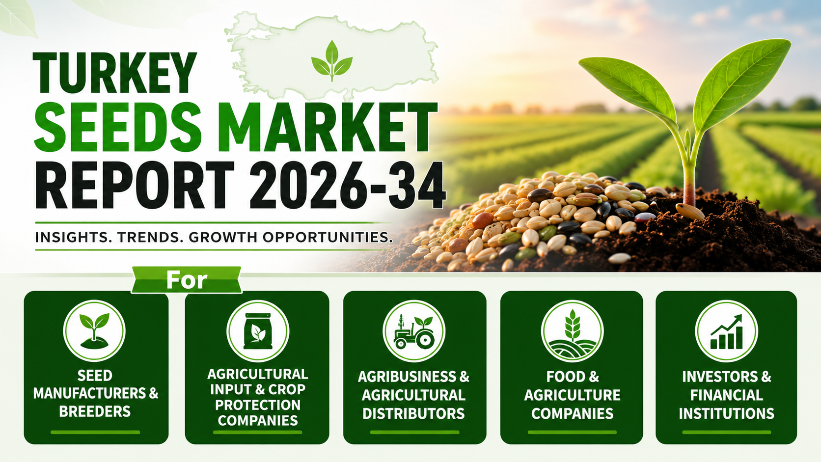 Turkey Seeds Market 2026-34: Emerging Opportunities for Breeders, Distributors & Agribusiness
