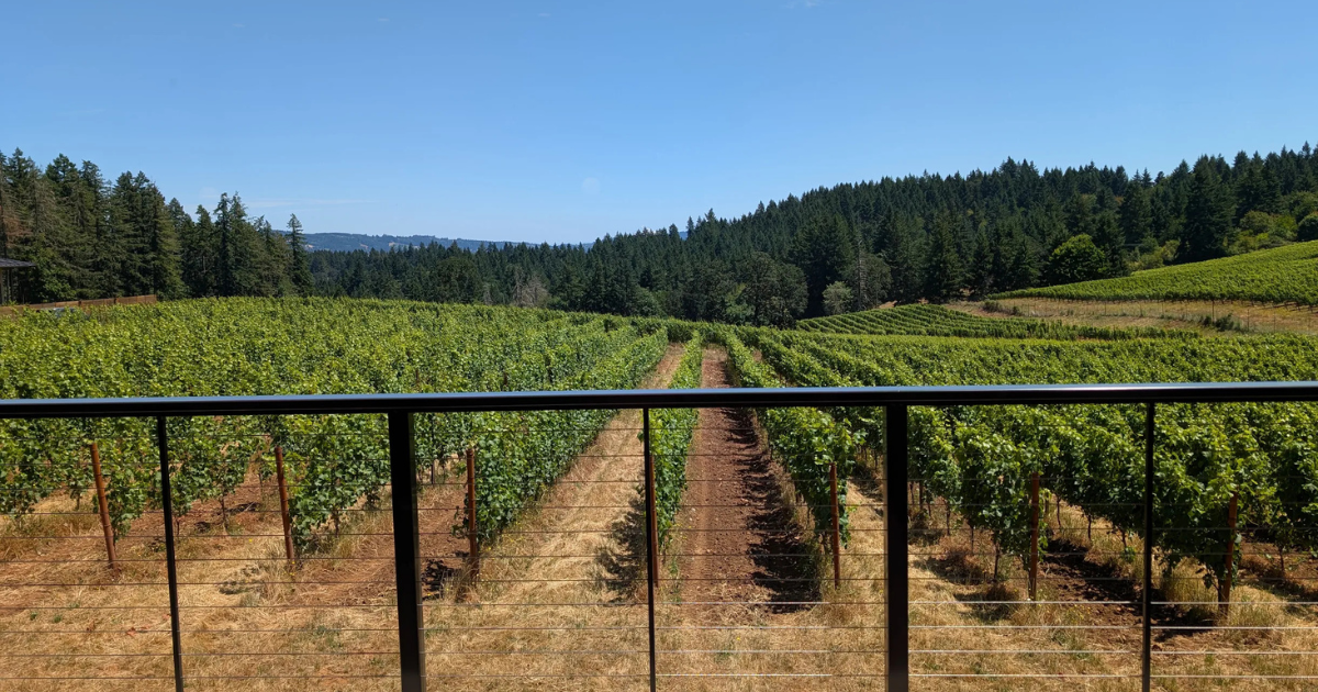 Culinary Harmony: How Chef-Driven Food Pairings Unlock the Nuances of Dundee Hills Wine