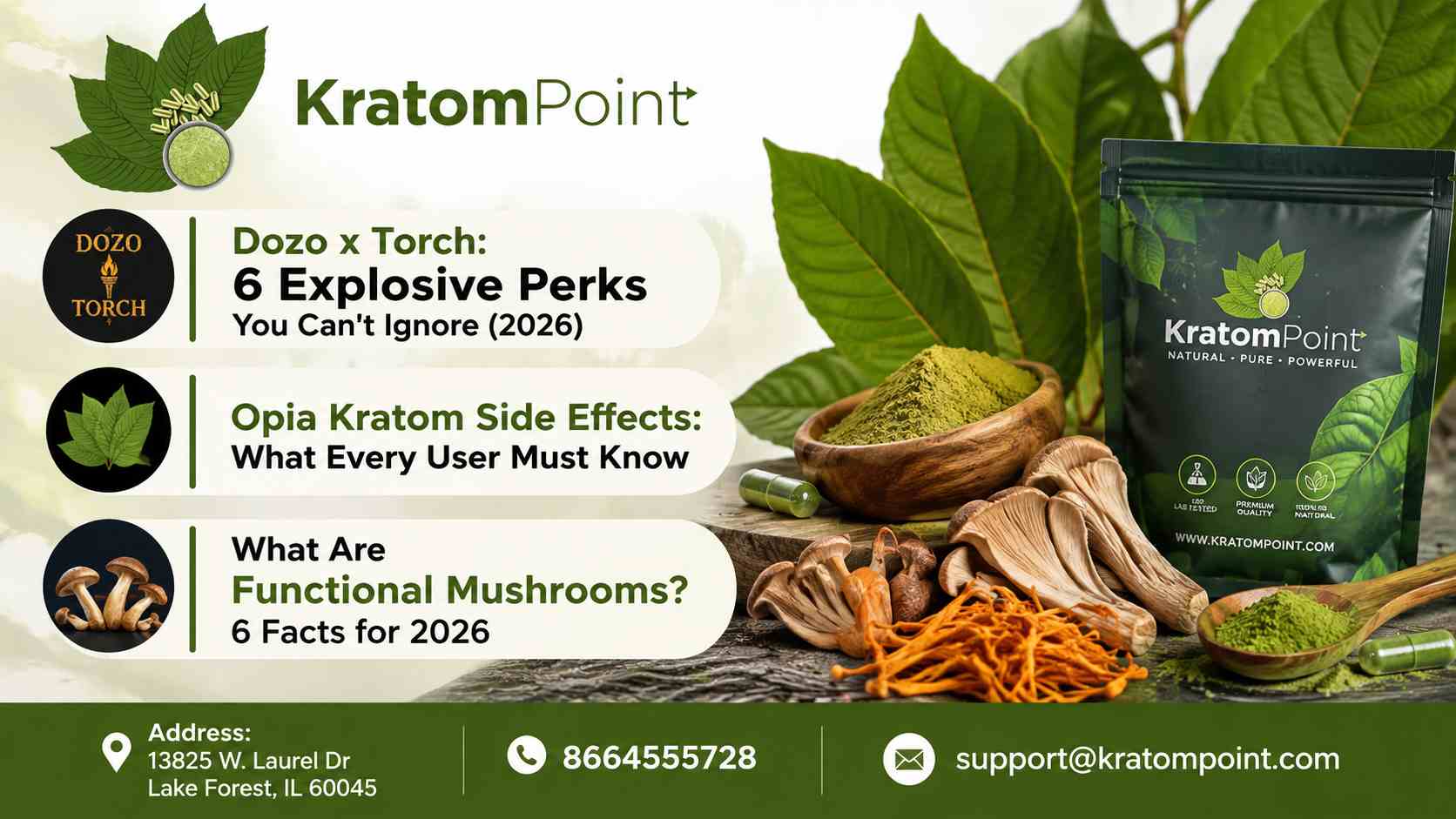 What Are Functional Mushrooms? 6 Facts for 2026